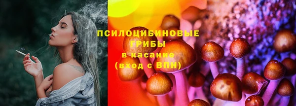 кокс Богородицк