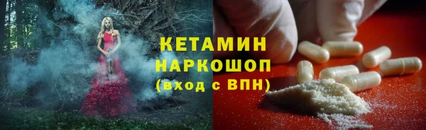 ECSTASY Бородино