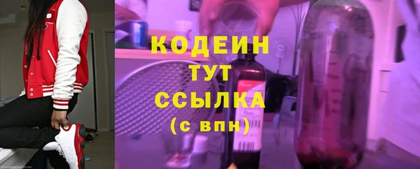 СК Бронницы