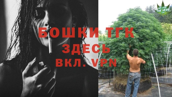 спиды Гвардейск