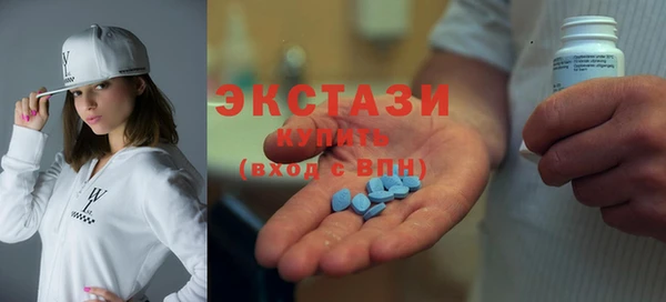 ECSTASY Бородино