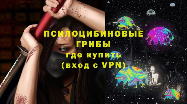 СК Бронницы