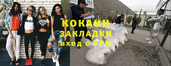 кокс Богородицк