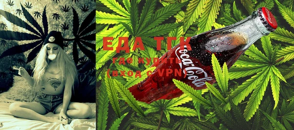 ECSTASY Бородино