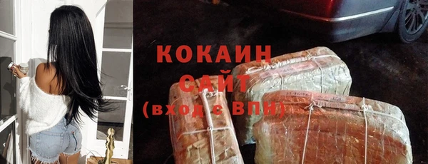 ECSTASY Бородино