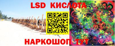 крисы Берёзовский