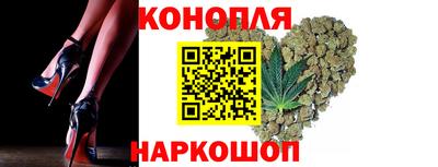 крисы Берёзовский