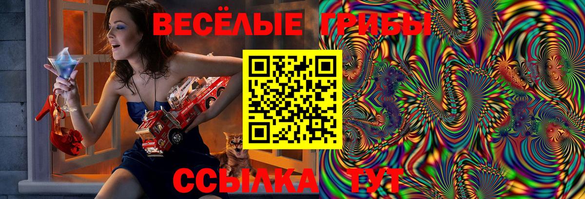 Псилоцибиновые грибы MAGIC MUSHROOMS Гатчина