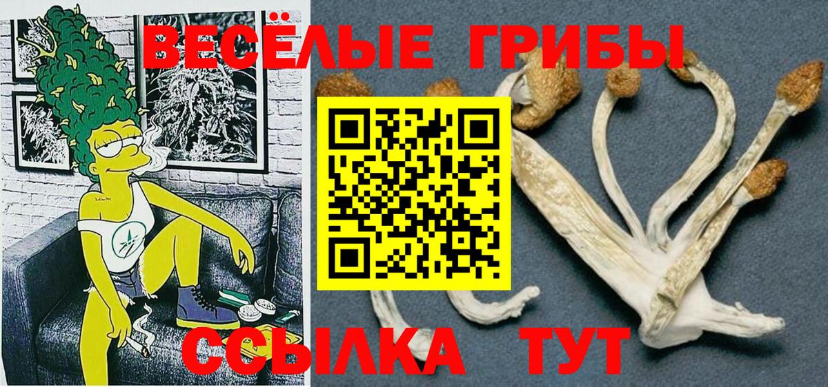 Псилоцибиновые грибы GOLDEN TEACHER Гатчина
